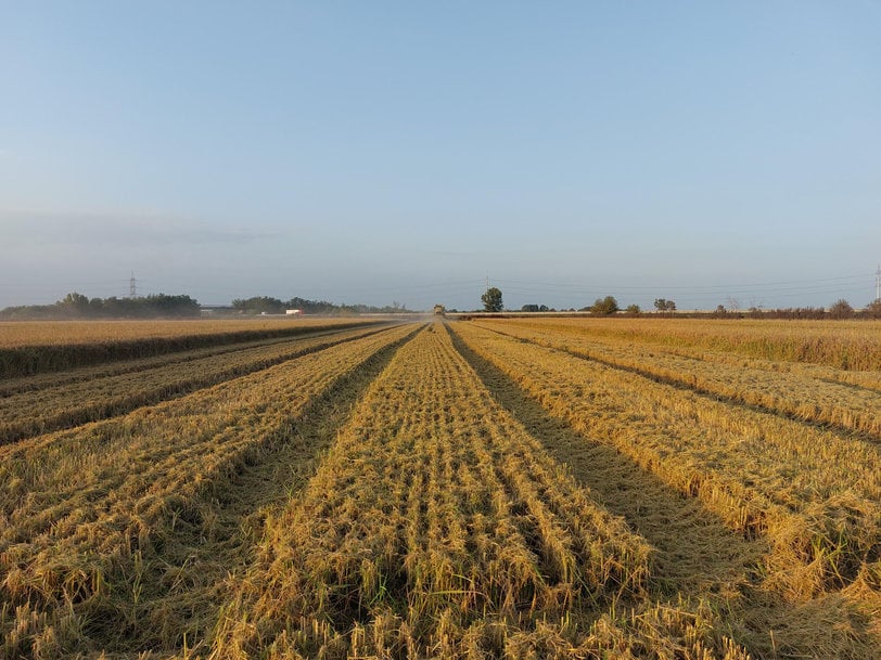 BASF demonstrates pathways to lower emissions in agriculture